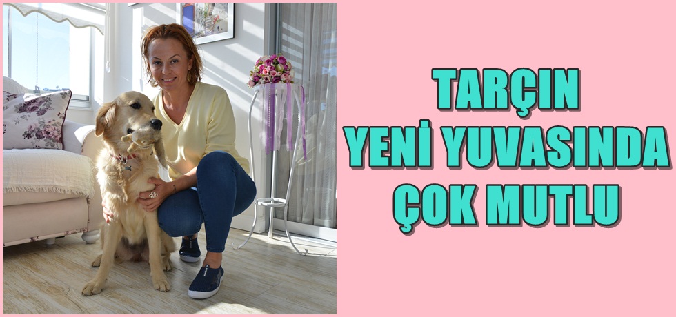 Tarçın Yeni Yuvasında Çok Mutlu